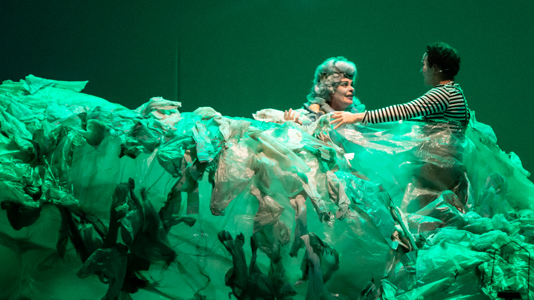 Image PARA MENINOS E GAIVOTAS 