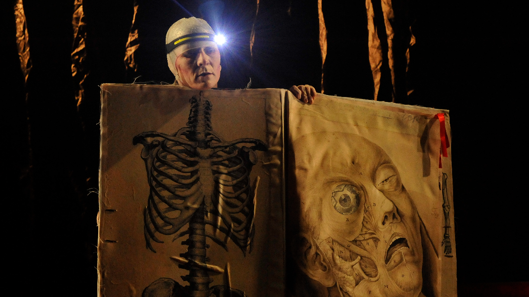 Image FIT 2024 Frankinh@ - uma história em pedacinhos