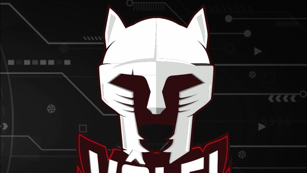 Image Torneio Quadrangular de Vôlei