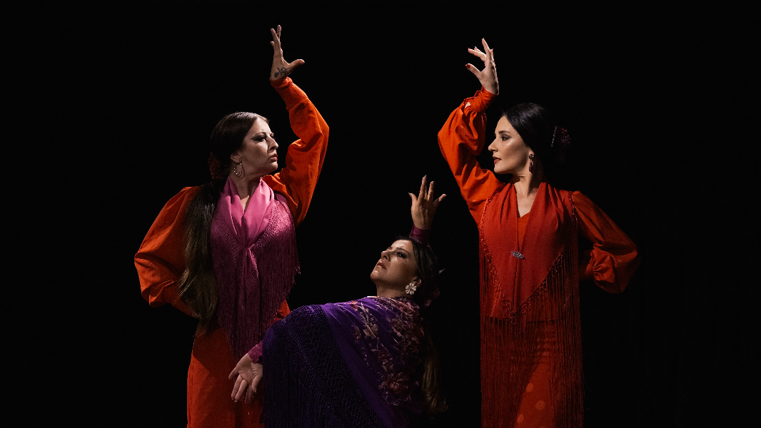 Image Oficina de Percussão Corporal e Ritmo no Flamenco