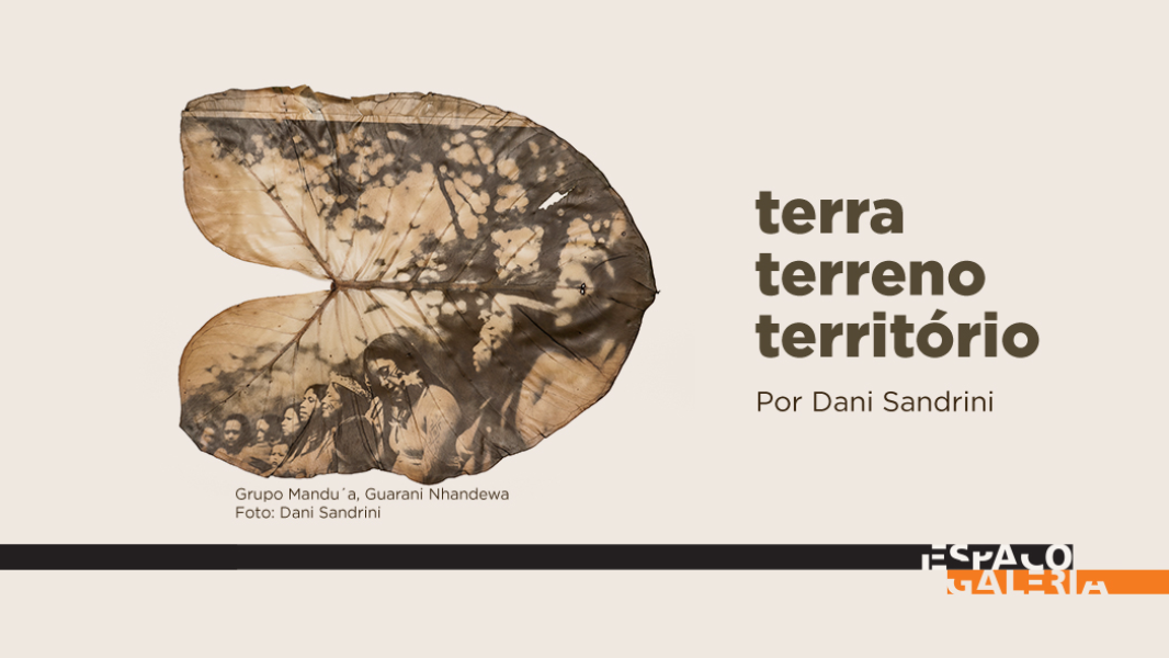 Image Terra terreno território (Espaço Galeria 2022)