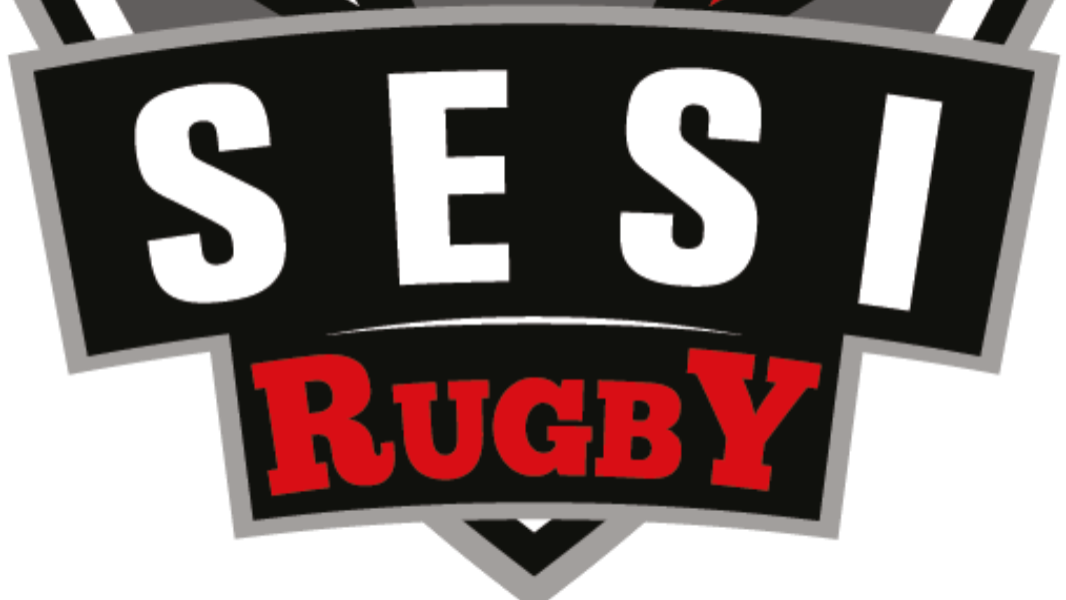Image 5º FESTIVAL DE RUGBY