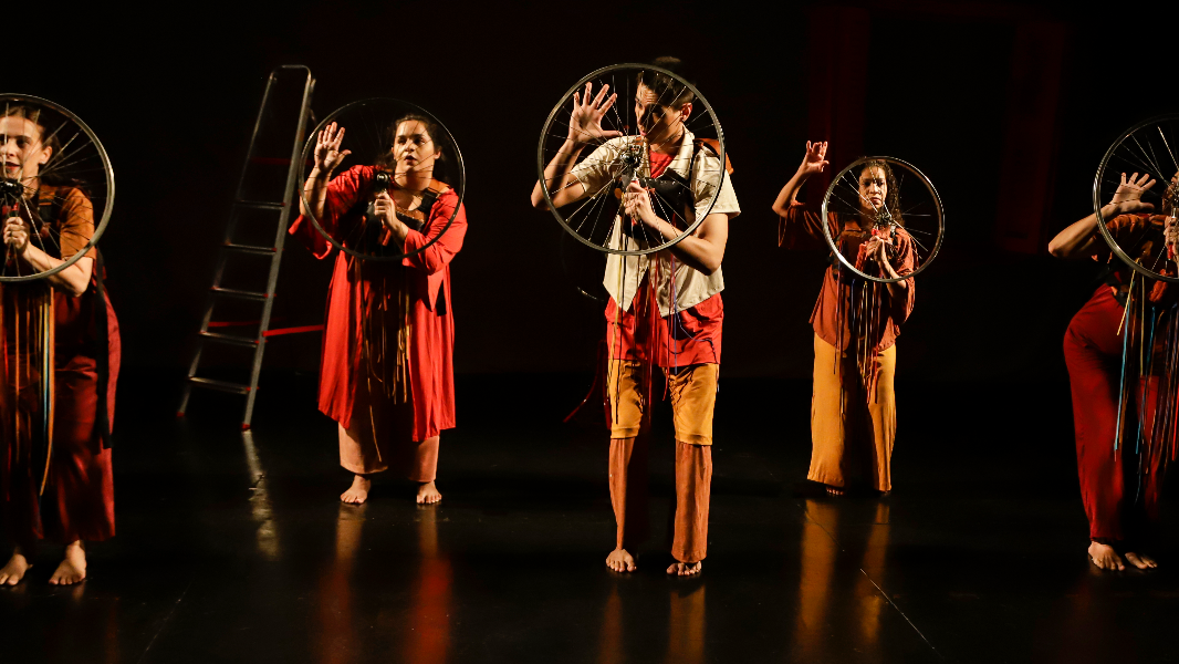 Image CIRANDA DE RETINA E CRISTALINO