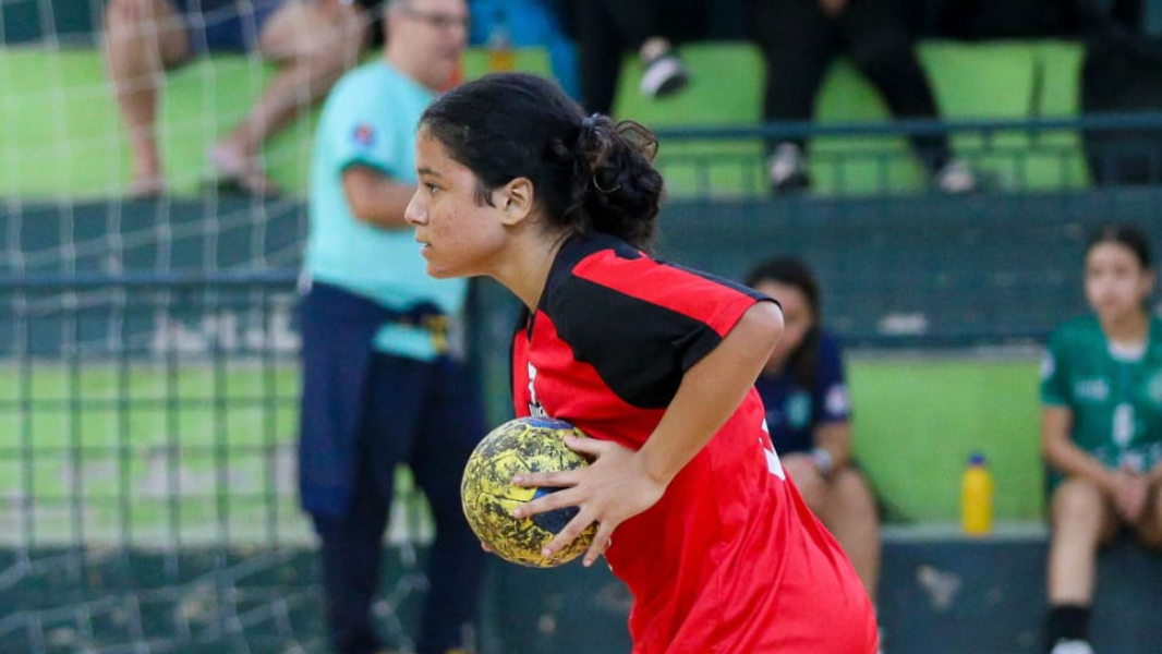 Image LHESP - LIGA DE HANDEBOL DO ESTADO DE SÃO PAULO