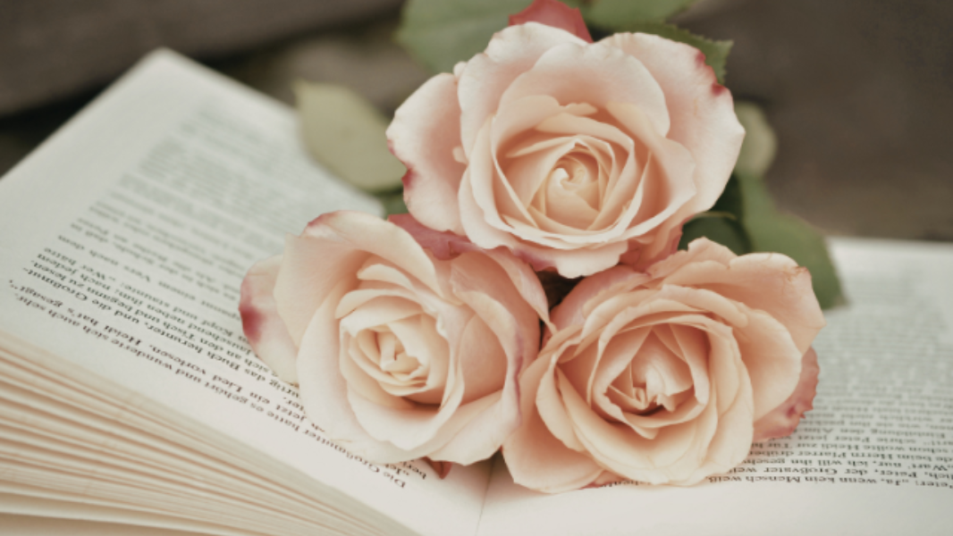 Image EnCONTrOS: A empatia nos contos - Oficina de leitura e escrita