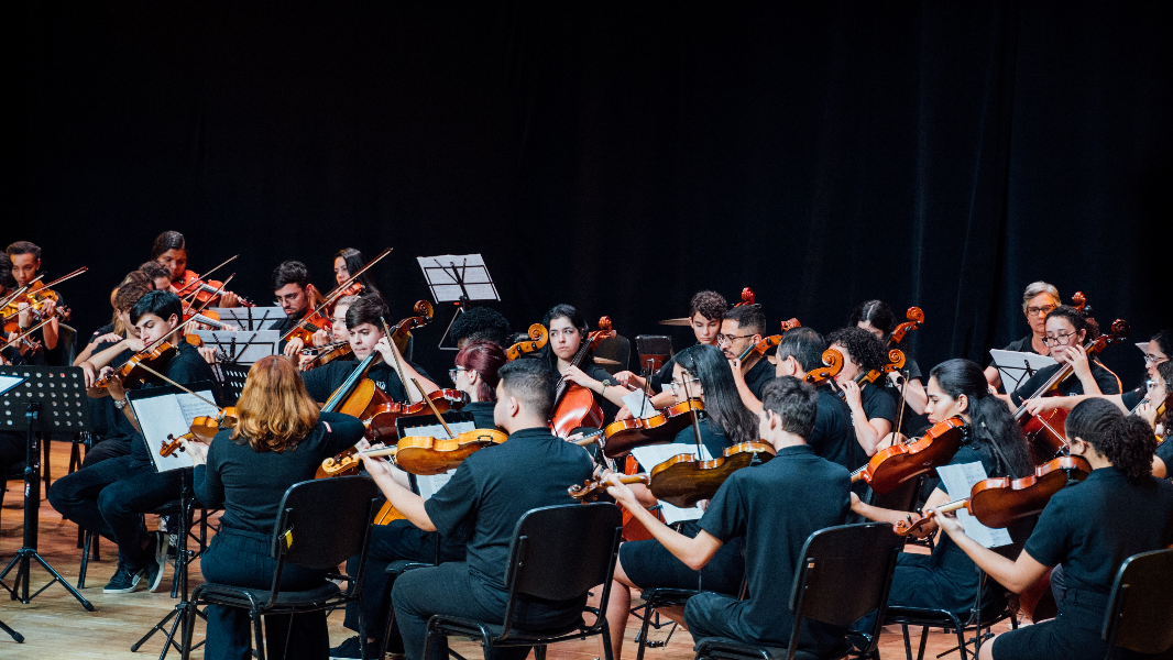 Image Camerata SESI Indaiatuba e Bauru