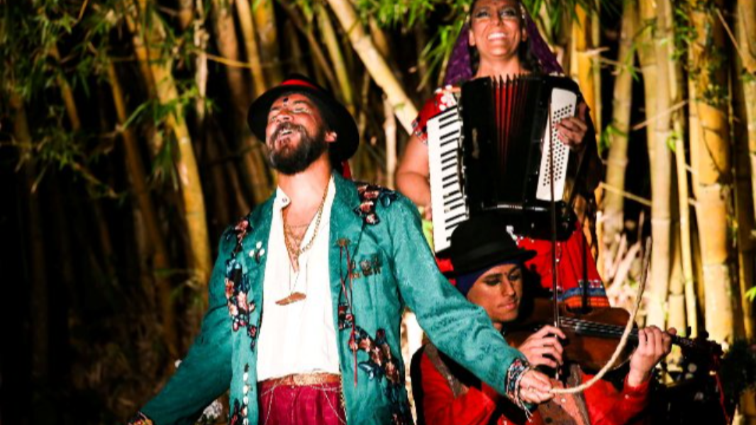 Image A Caravana dos Pássaros Errantes 