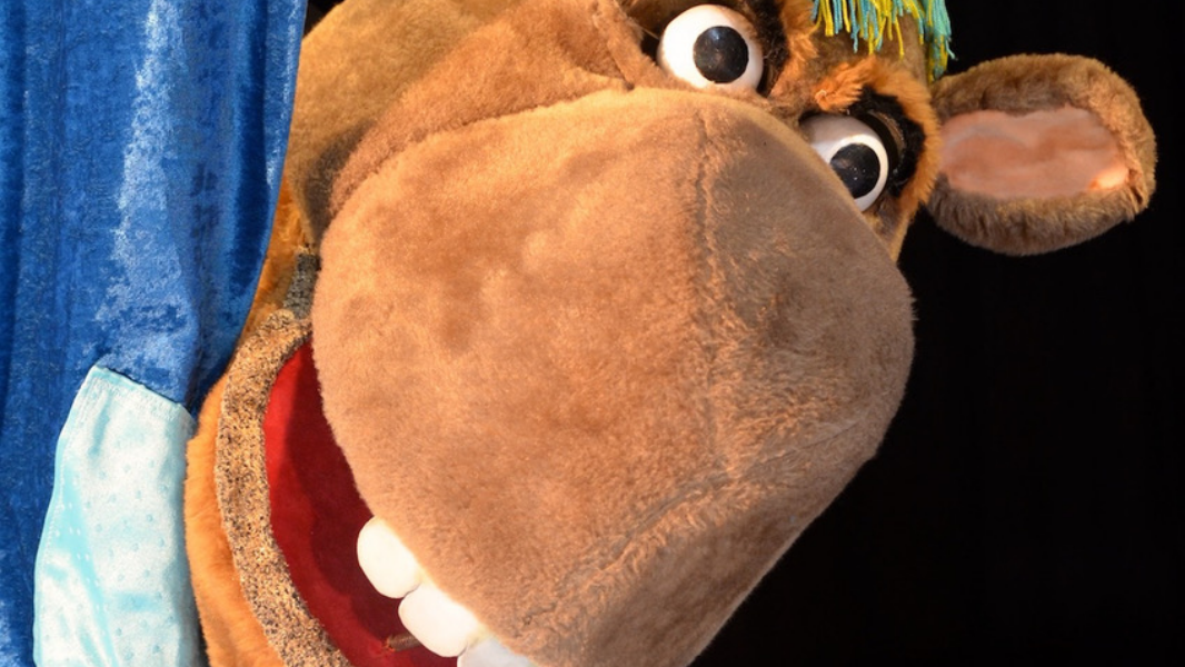 Image CIRCUS, A NOVA TOURNÉE