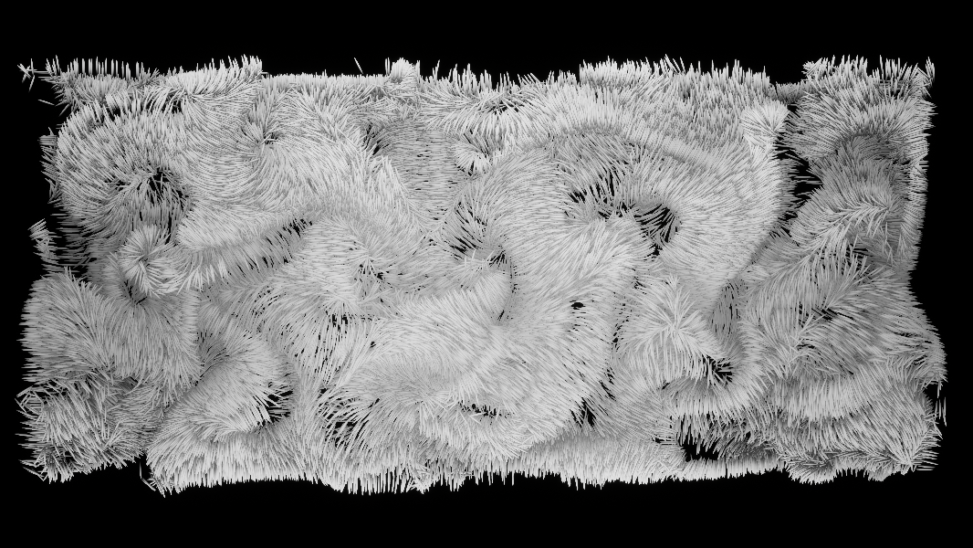 Image METADATA - O Mundo Invisível