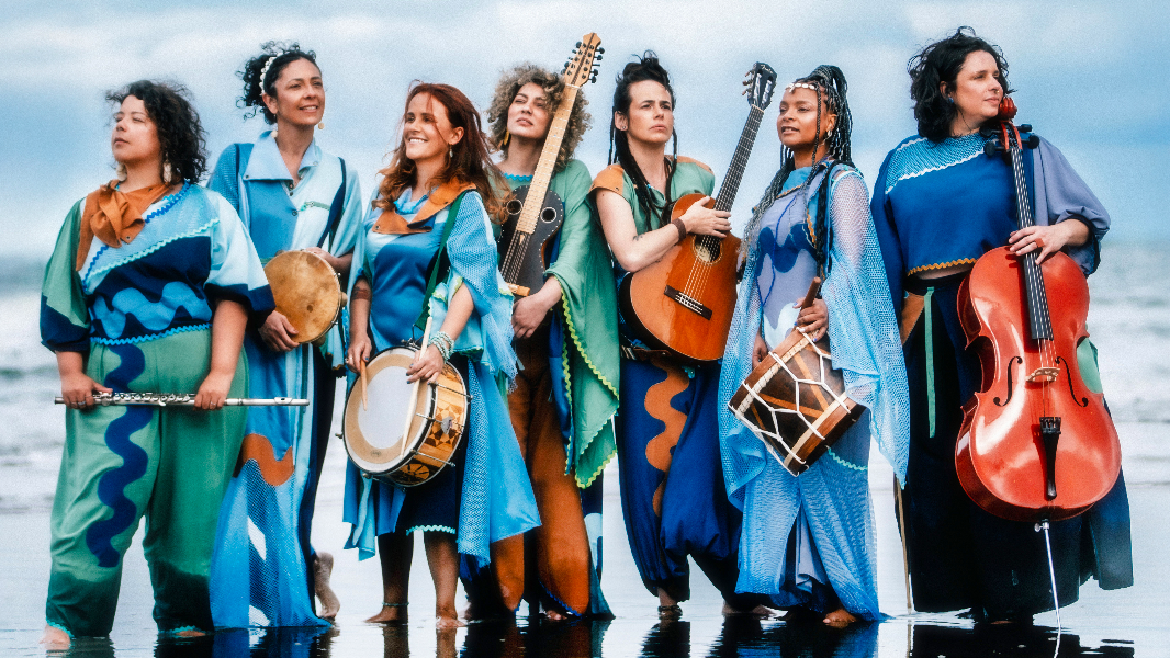 Image Sianinhas - Canárias e Pintassilgas