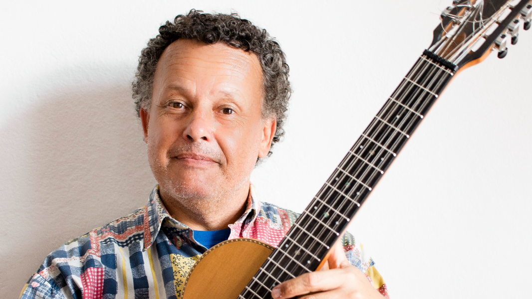 Image VIOLA DE PEDRA