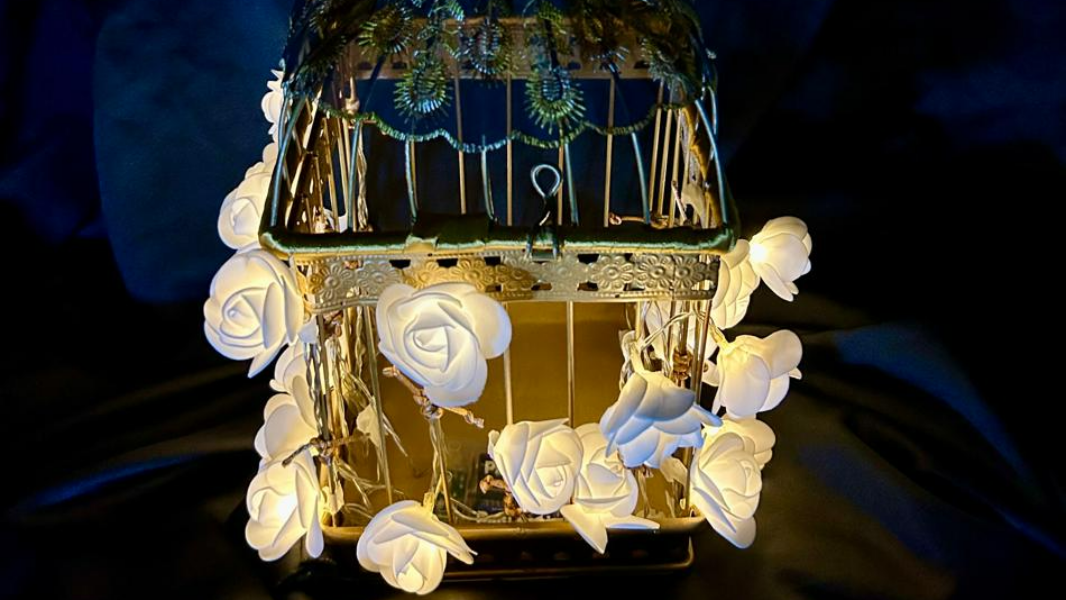 Image Roda dos Inocentes