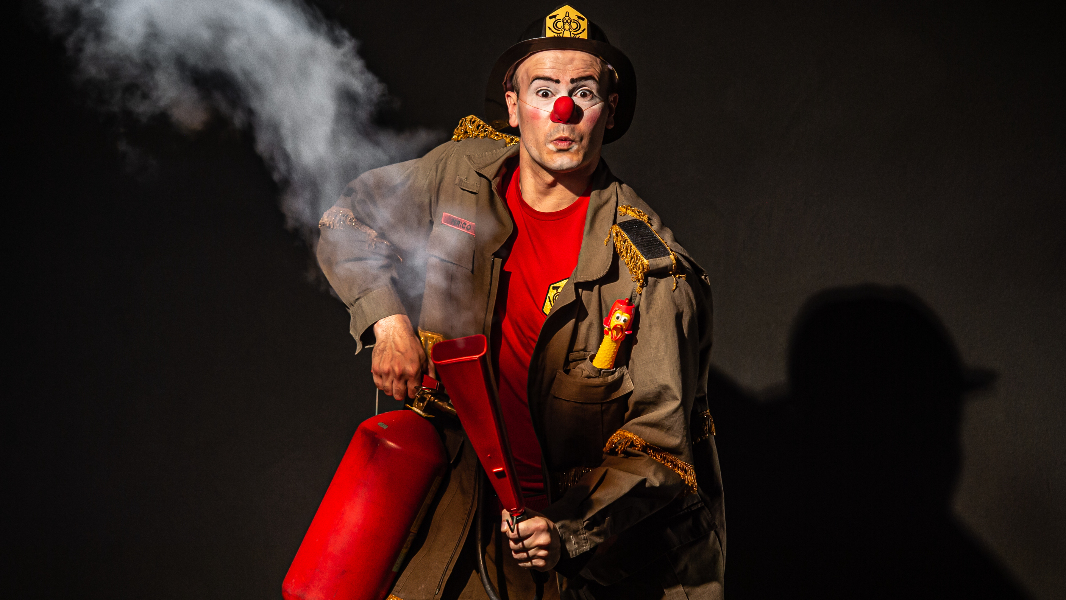 Image Perico no Trânsito