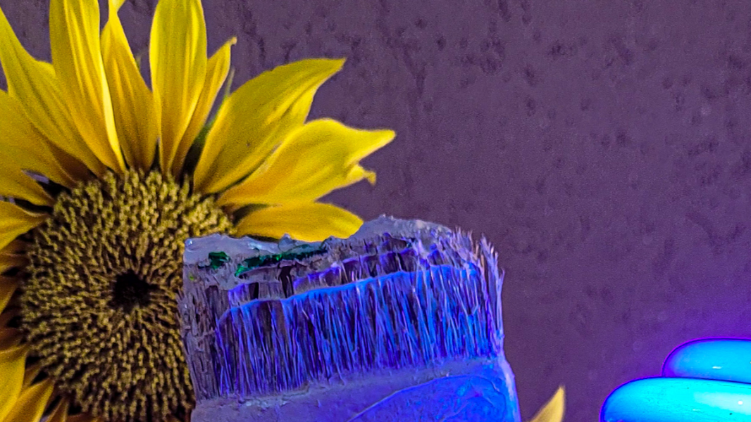 Image Oficina Brilhando No Escuro Com Os Girassóis De Van Gogh