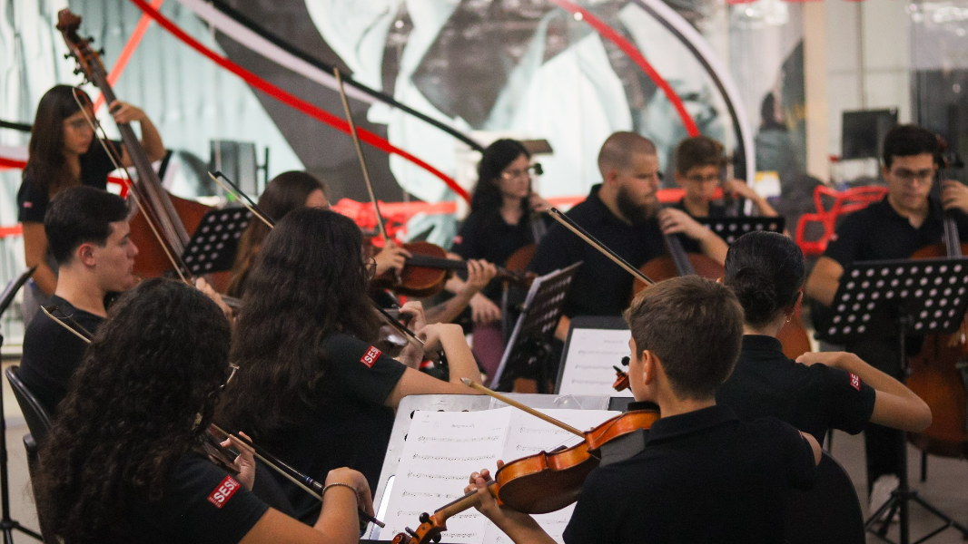 Image CAMERATA SESI BAURU