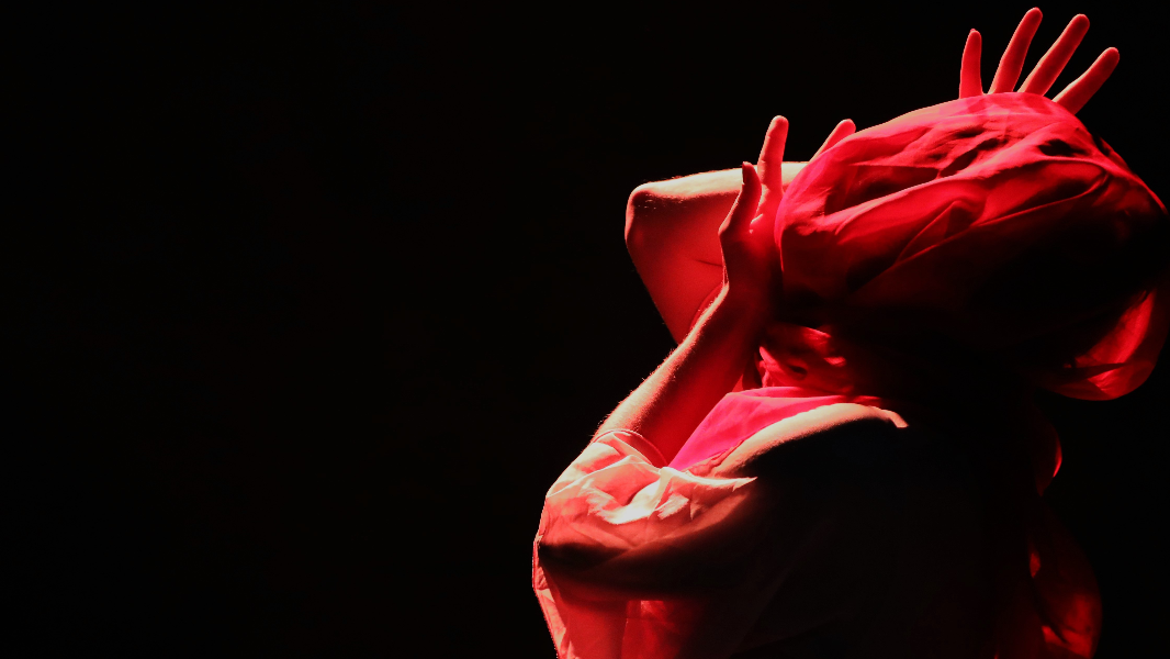 Image CENA LIVRE: NOUR — ou o nome sobre a pedra