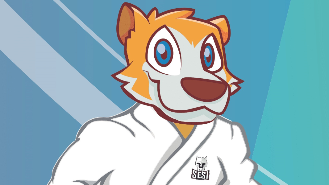 Image Festival PAF de Judô