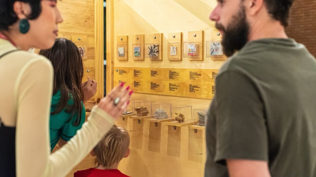 Image Abertura da Exposição "AR: Acervo Rotativo"