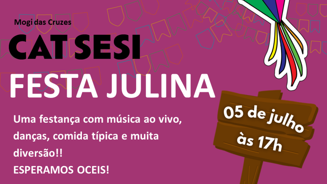 Image Festa Julina