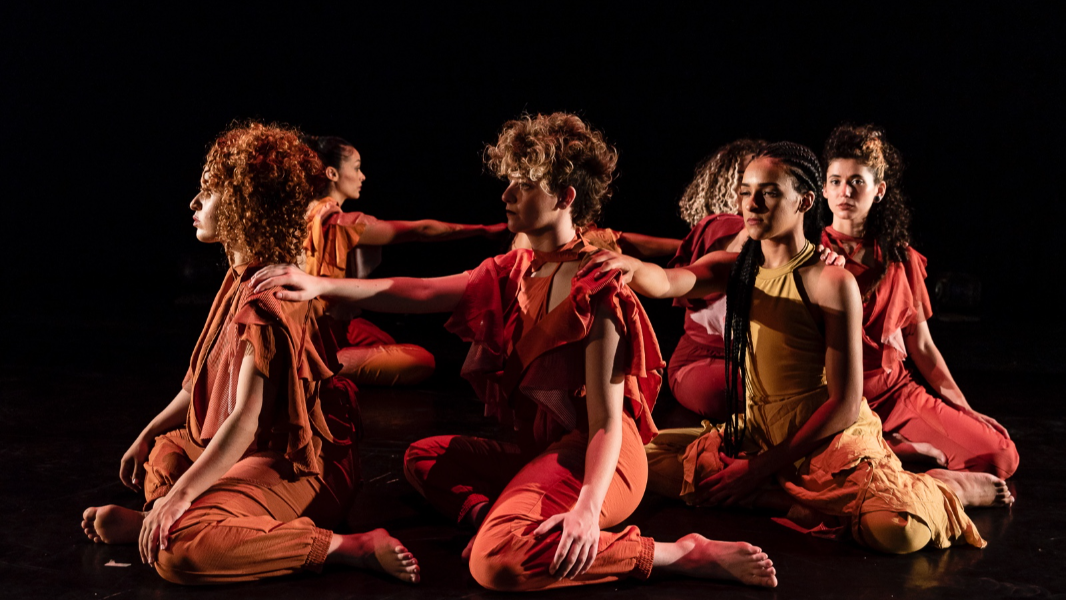 Image Ciclos, Curvas e Outras Perspectivas