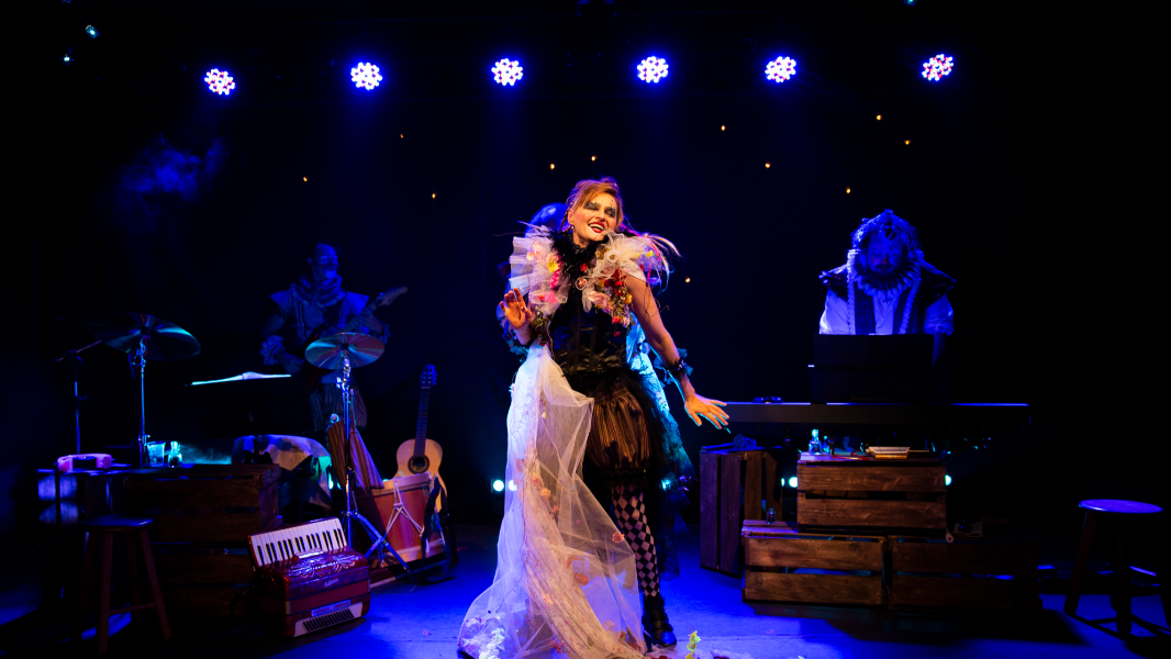 Image DIVERSÃO EM CENA: SHAKE SHAKE SHOW