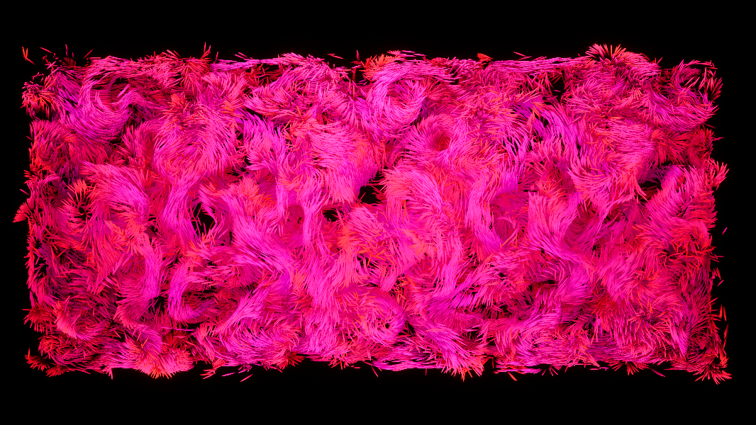 Image METADATA - O Mundo Invisível