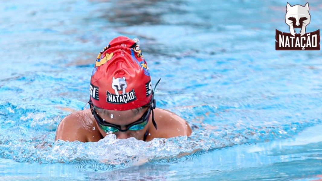 Image CAMPEONATO PAULISTA PETIZ DE INVERNO 2025