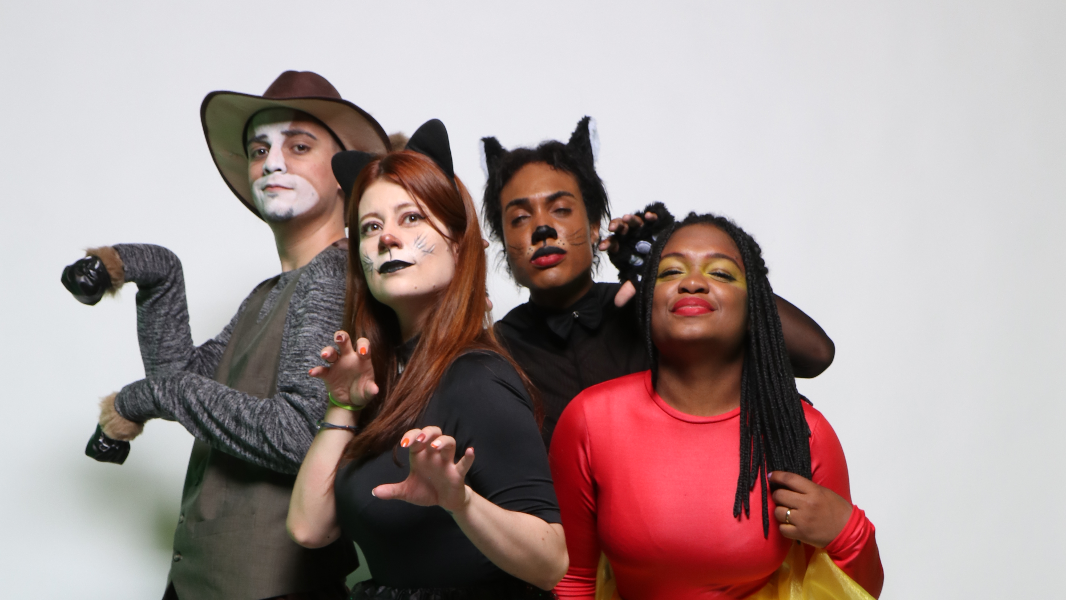 Image Os Saltimbancos