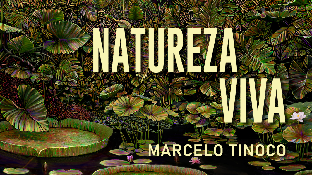 Image Natureza Viva