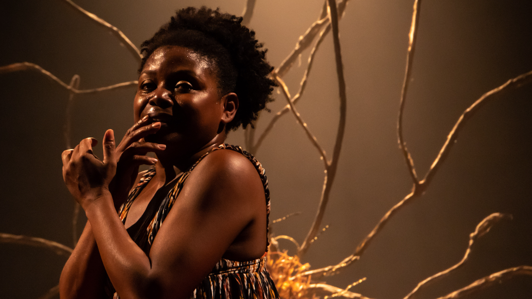 Image MEUS CABELOS DE BAOBÁ