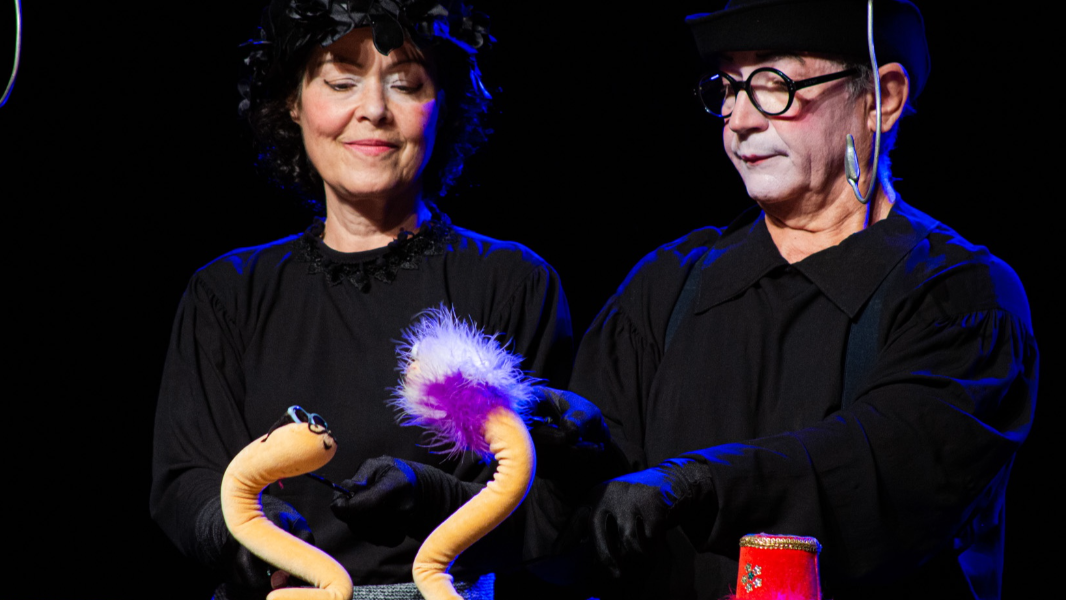 Image CIRCUS A NOVA TOURNÉE 