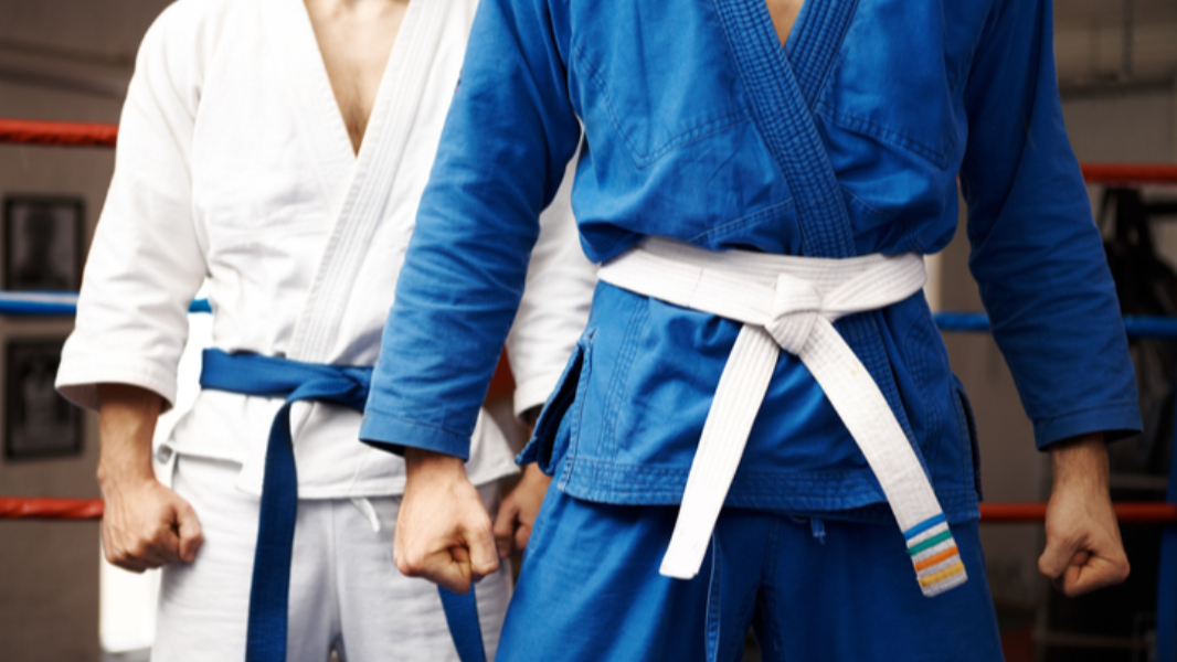 Image Intercâmbio de Judô