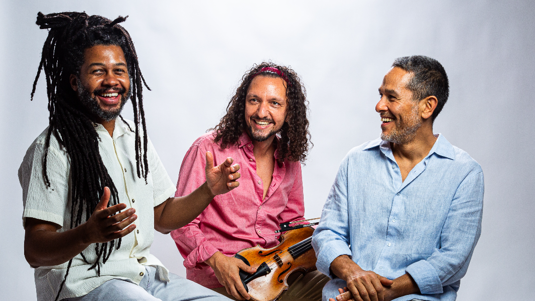 Image RICARDO HERZ TRIO