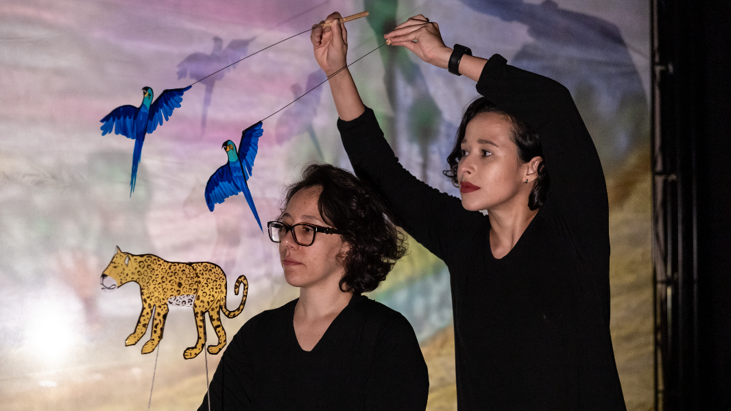 Image Sob o Céu do Cerrado