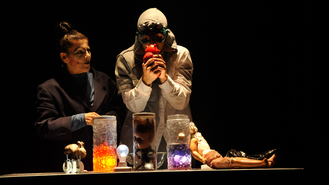 Image FIT 2024 Frankinh@ - uma história em pedacinhos