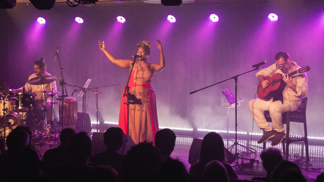 Image Show Afro e Outros Sambas