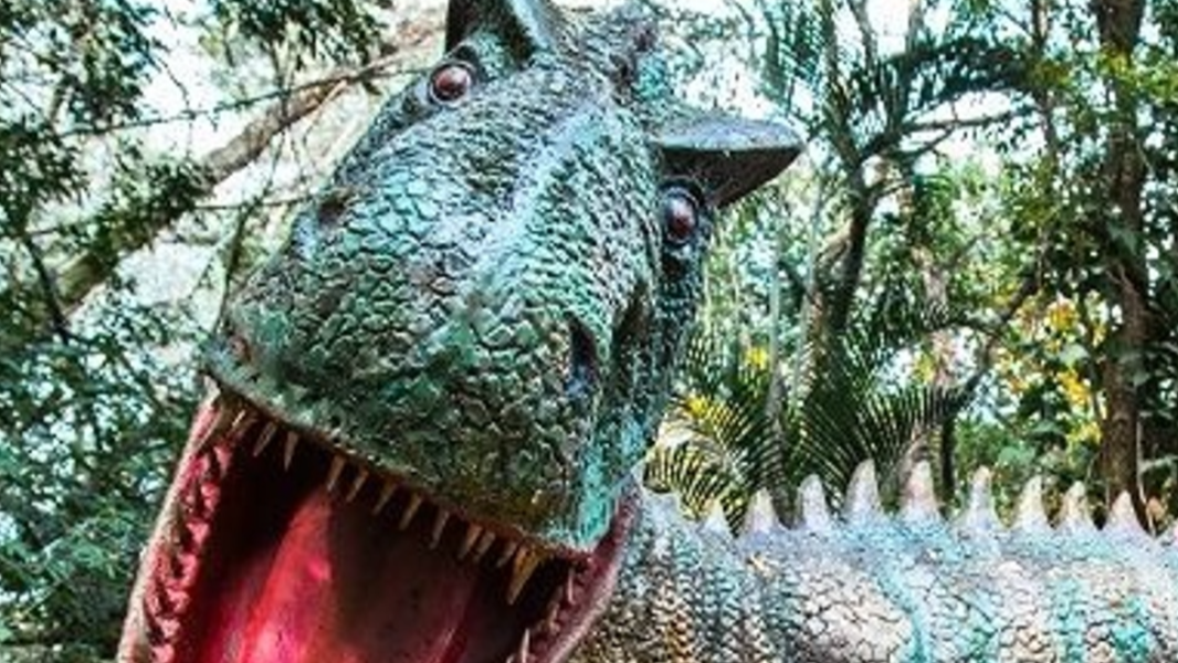 Image Dinossauros do Brasil e Trilha Ambiental