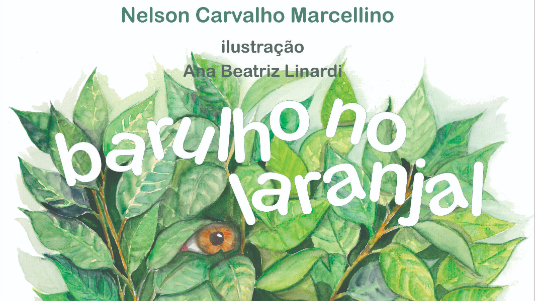 Image  Lançamento do livro: Barulho no laranjal