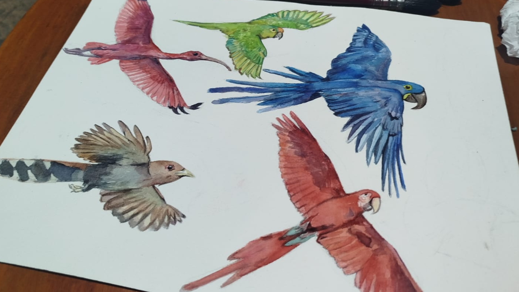 Image Oficina Arte e Natureza: Aves da nossa região em aquarela
