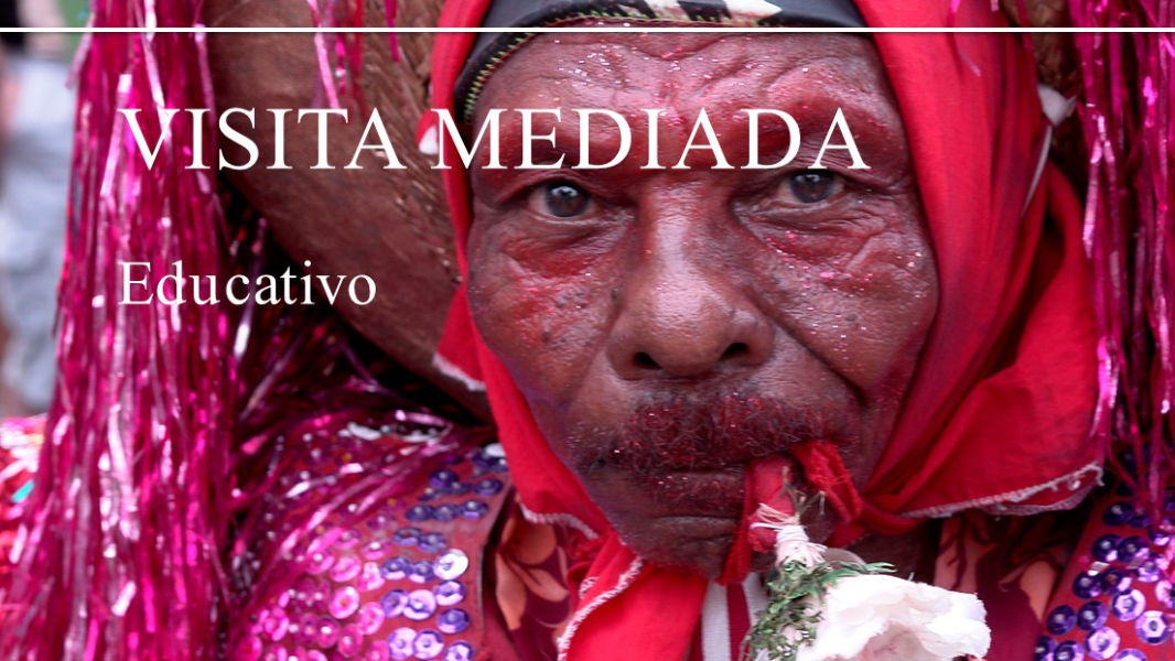 Image Visita Mediada | Exposição “Maracatu Rural – A Magia dos Canaviais”