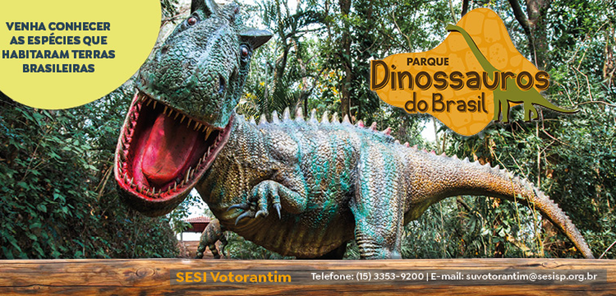 Image Pacote Promocional