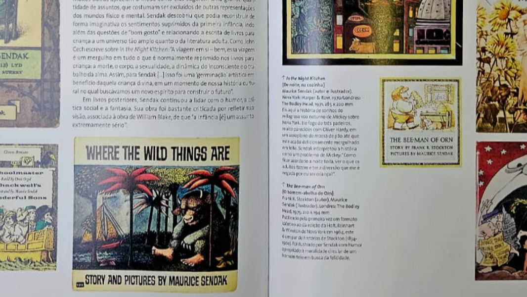 Image Ler imagens: o que é um livro ilustrado?