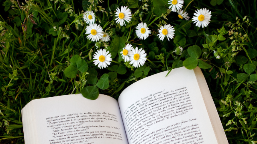 Image EnCONTrOS: A alegria nos contos