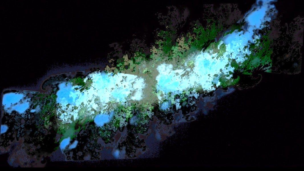 Image Oficina FLORAS: Algoritmos, Blockchain, Crypto-Arte e NFTs 