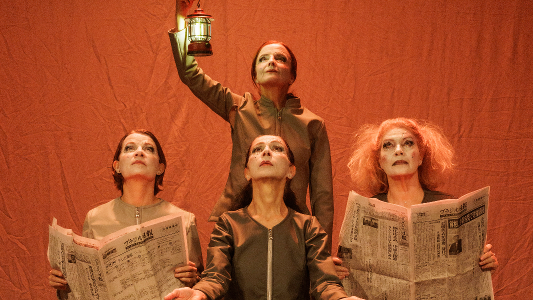 Image Projeto Clarice