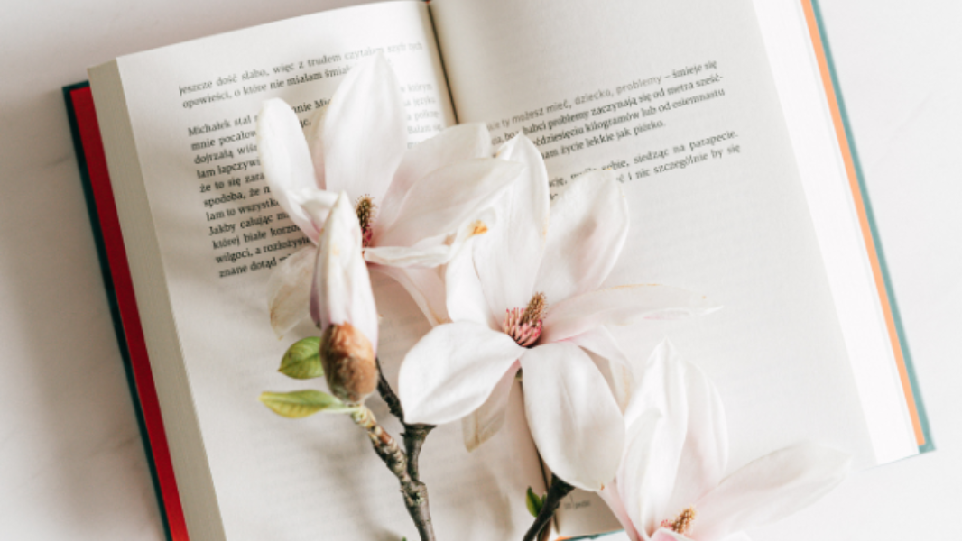 Image EnCONTrOS: A coragem nos contos - Oficina de leitura e escrita   