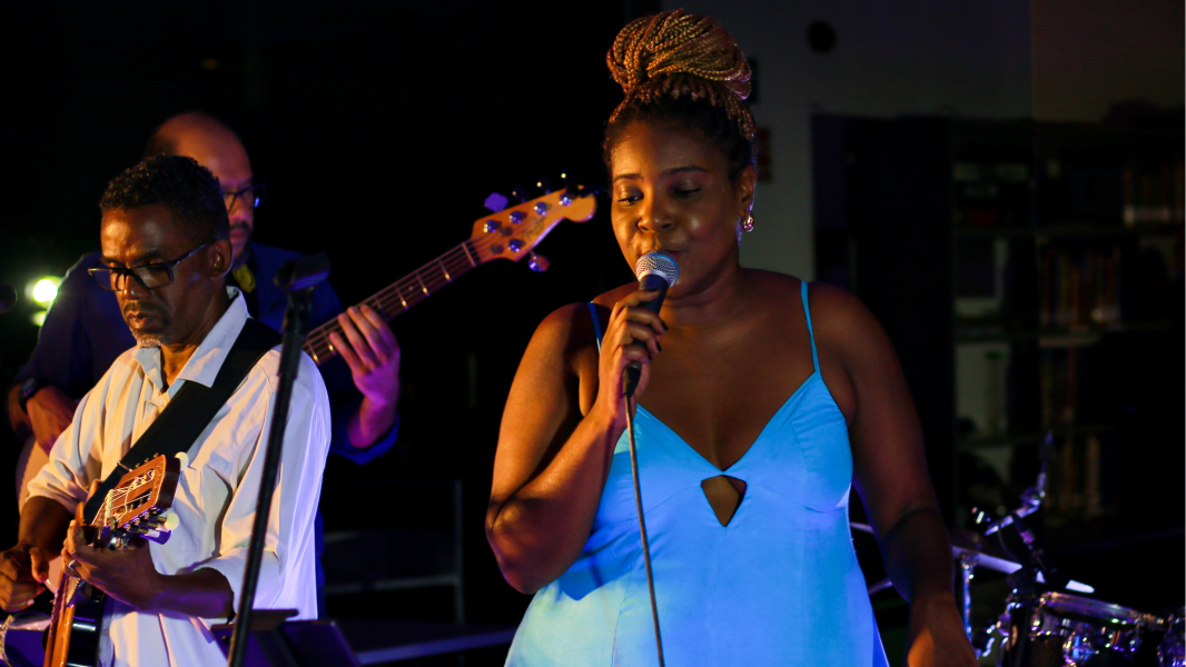 Image Fernanda Marx canta Alcione