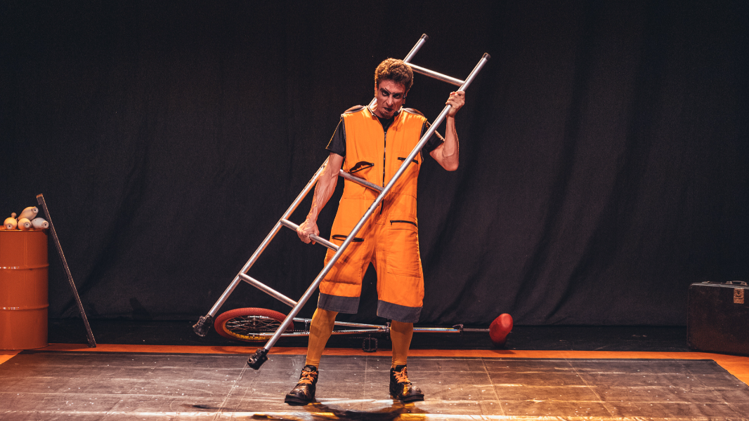 Image De Lucca Circus Show