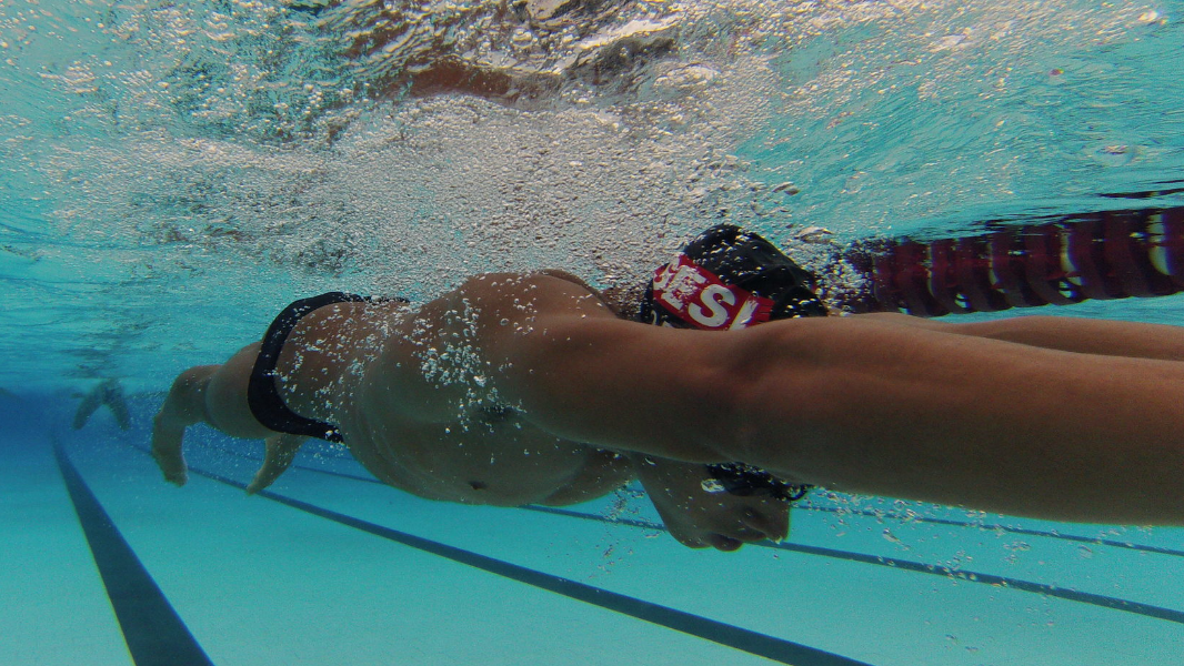 Image Festival de Natação SESI Votorantim