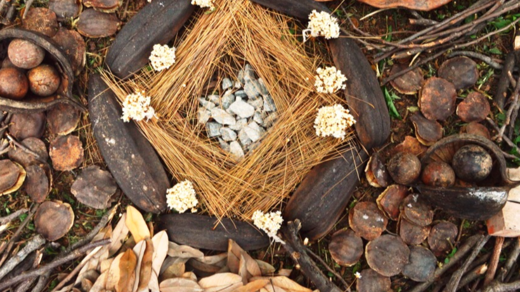 Image Oficina “Natura-lab”